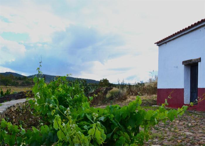 Casa Rural El Abuelo Alonso La Codosera Esterno foto